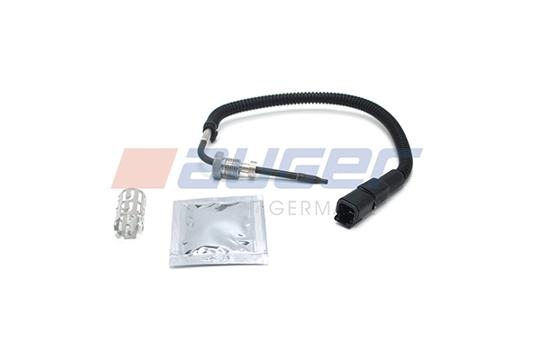Sensor, exhaust gas temperature (98889)