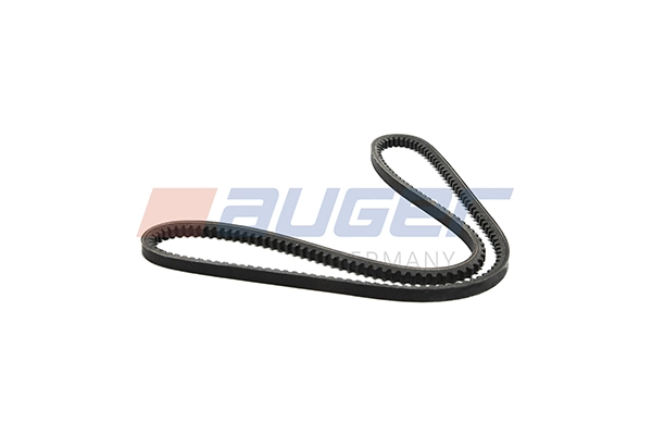 V-Belt (90465)