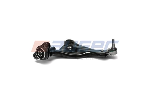 Control/Trailing Arm, wheel suspension (107960)