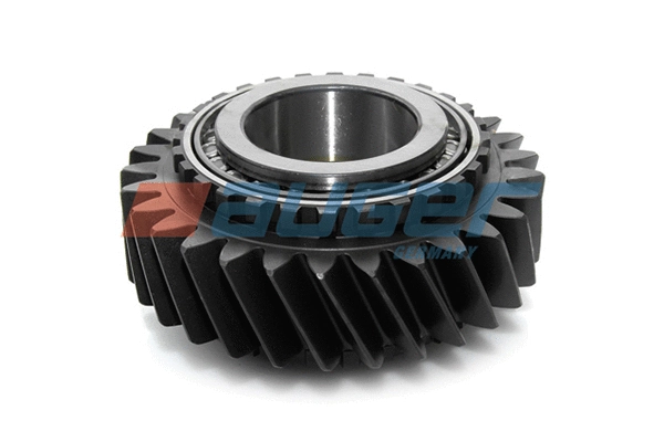 Gear, main shaft (76603)