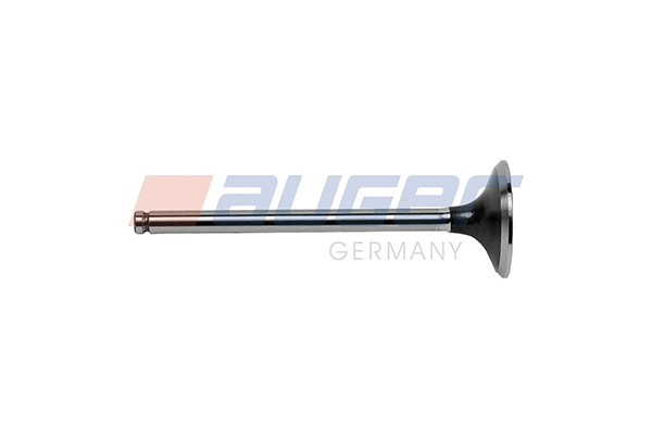 Intake Valve (109222)