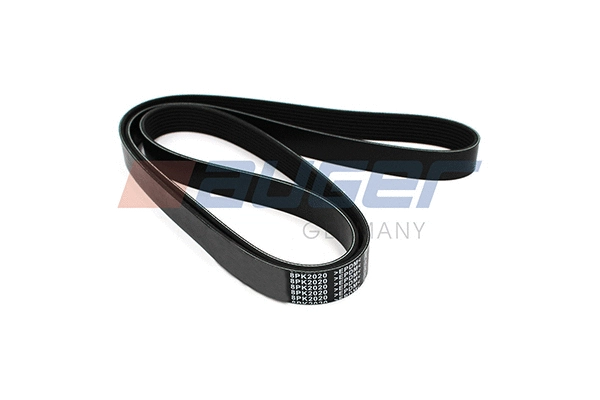 V-Ribbed Belt (79944)