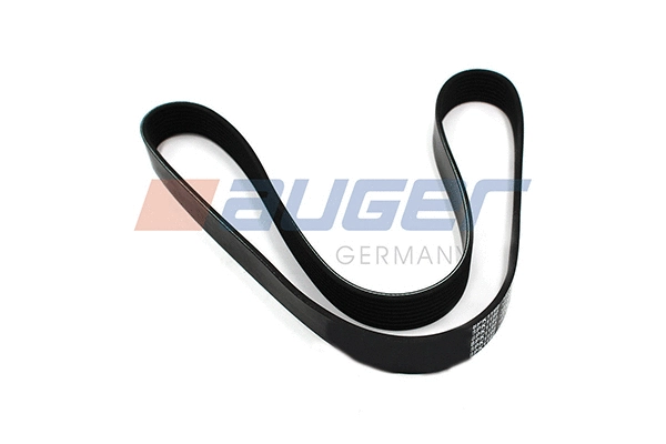 V-Ribbed Belt (79909)