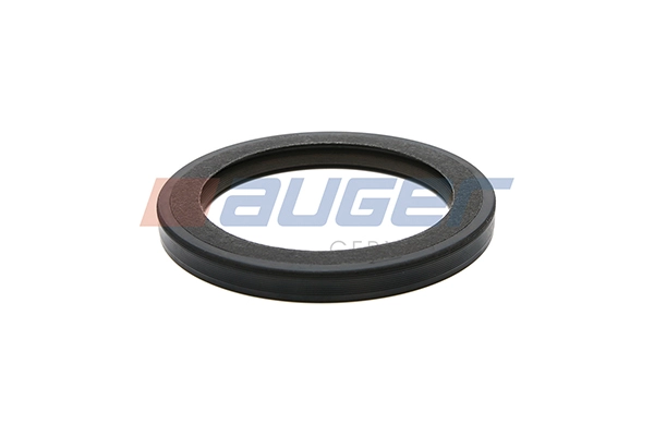 Shaft Seal, crankshaft (104894)