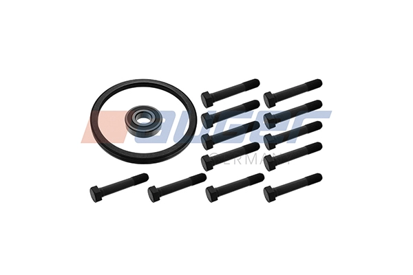 Repair Kit, flywheel (95783)