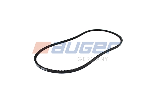 V-Belt (79846)