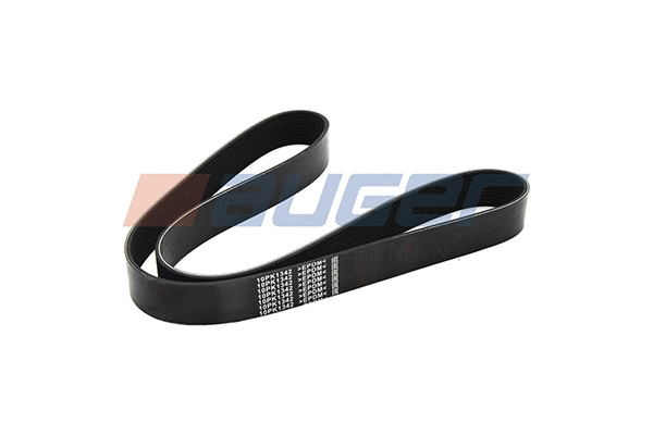 V-Ribbed Belt (80084)