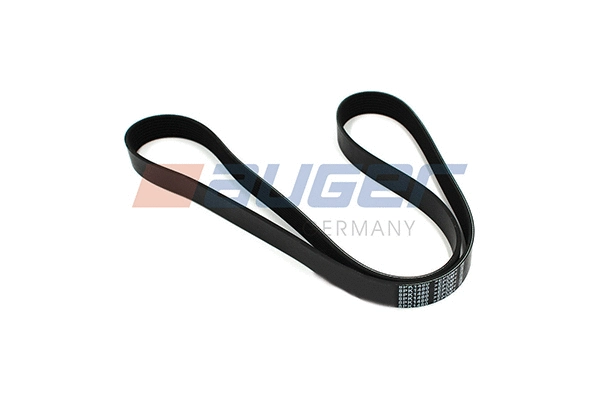 V-Ribbed Belt (79921)