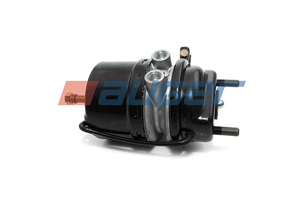 Spring-loaded Cylinder (21037)