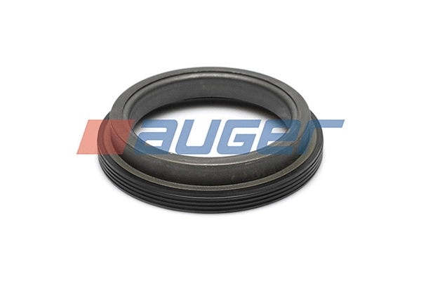 Shaft Seal, wheel hub (53847)