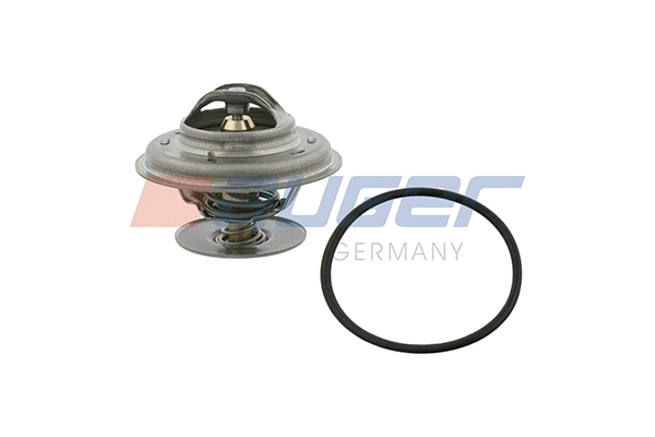 Thermostat, coolant (113753)