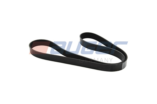 V-Ribbed Belt (79920)