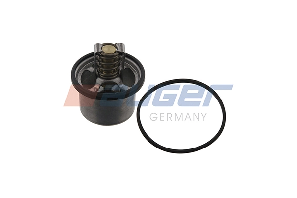 Thermostat, coolant (101447)