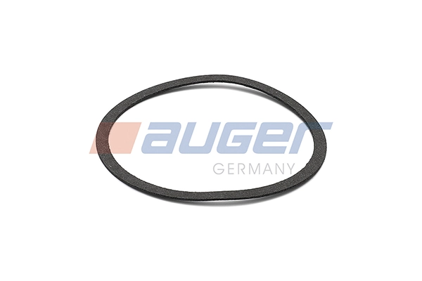 Gasket, water pump (106460)