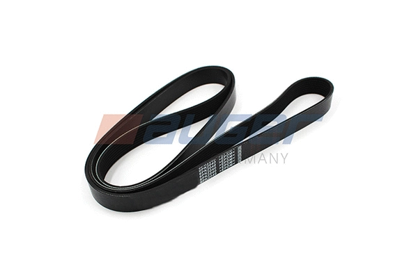 V-Ribbed Belt (79945)