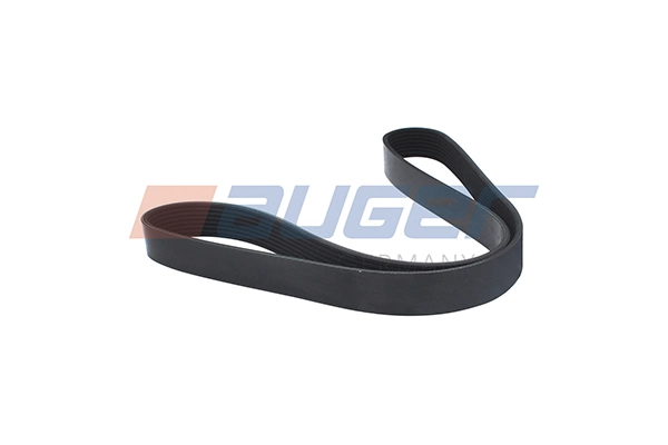 V-Ribbed Belt (80069)