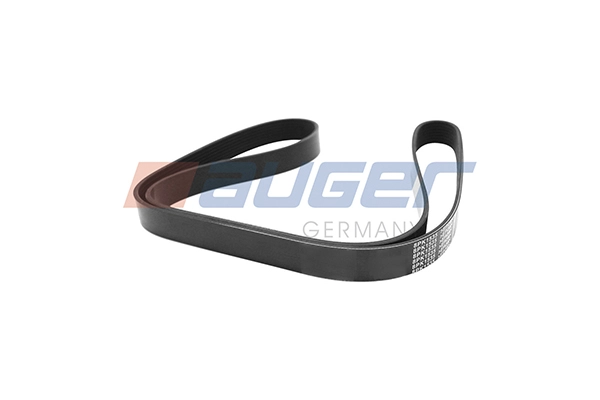 V-Ribbed Belt (80097)