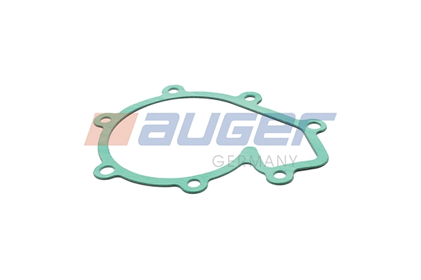 Gasket, water pump (100757)
