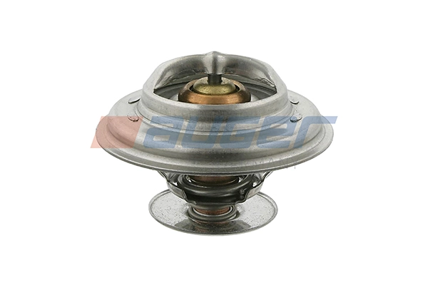 Thermostat, coolant (113781)