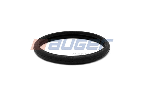 Gasket, water pump (84239)