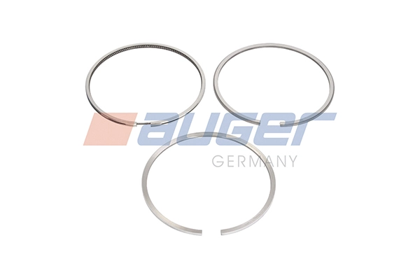 Piston Ring Kit (109000)