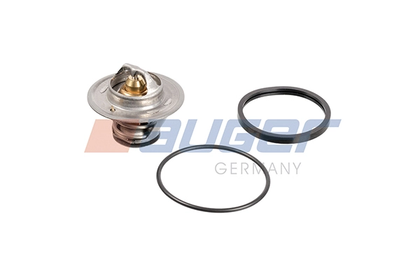 Thermostat, coolant (98226)