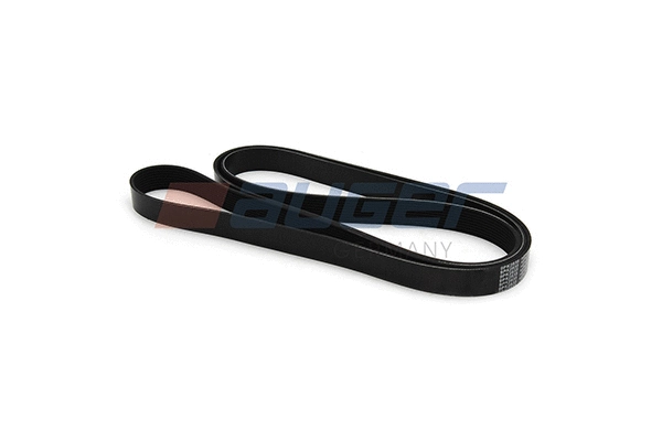 V-Ribbed Belt (79977)