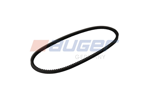 V-Belt (106823)