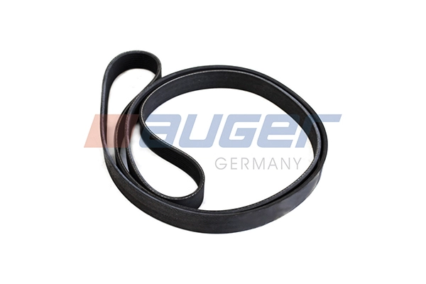 V-Ribbed Belt (87698)