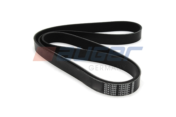 V-Ribbed Belt (80075)