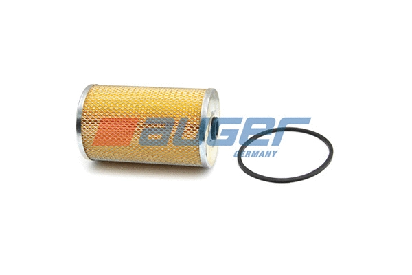 Fuel Filter (76779)