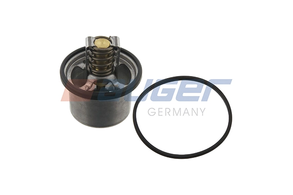 Thermostat, coolant (104132)