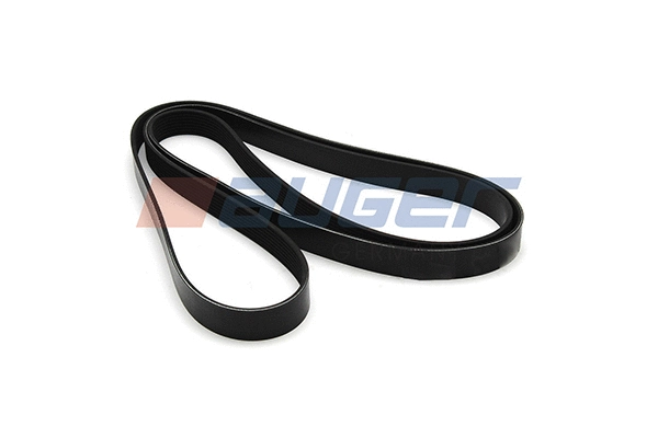 V-Ribbed Belt (79955)