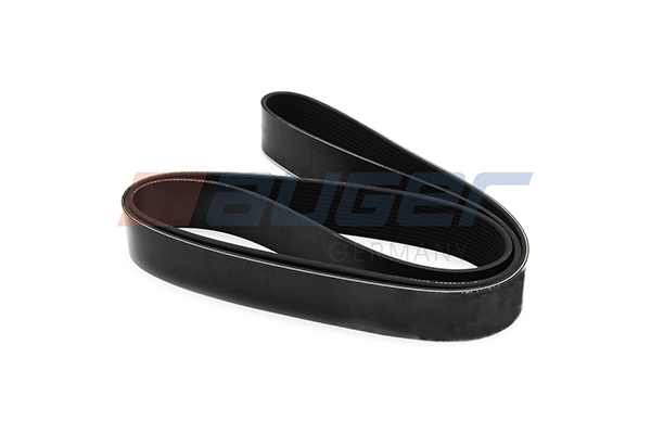 V-Ribbed Belt (90561)