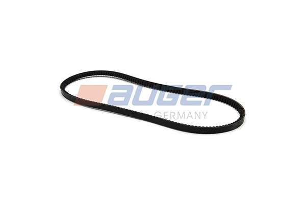 V-Belt (79887)