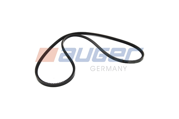 V-Belt (79853)