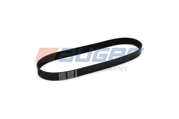 V-Ribbed Belt (80060)