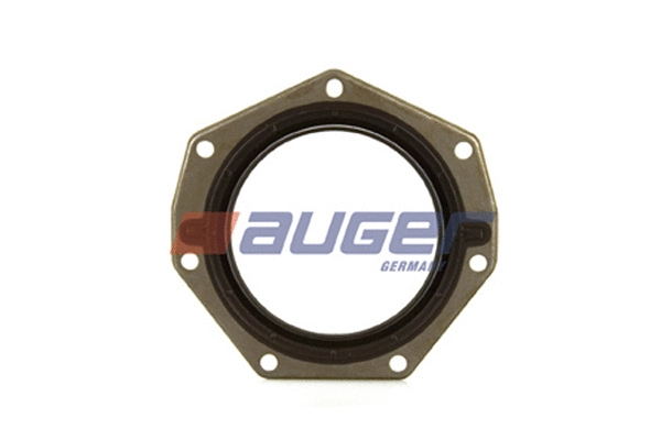 Shaft Seal, crankshaft (69370)