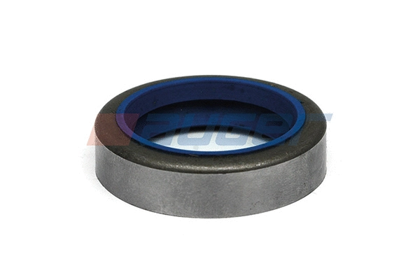 Seal, brake camshaft (54856)