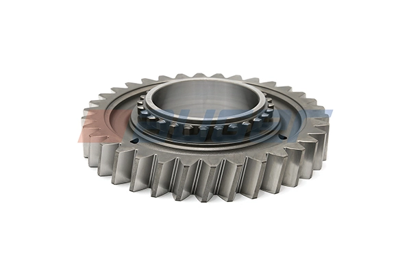 Gear, main shaft (107793)