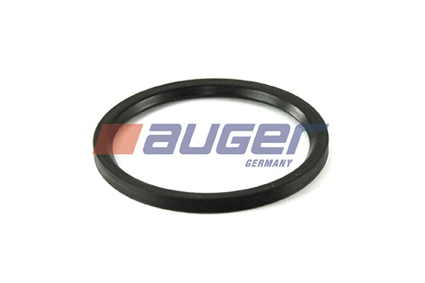 Shaft Seal, wheel hub (69234)