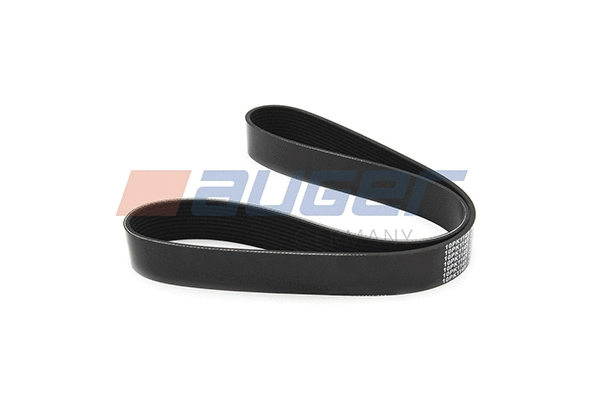 V-Ribbed Belt (80080)