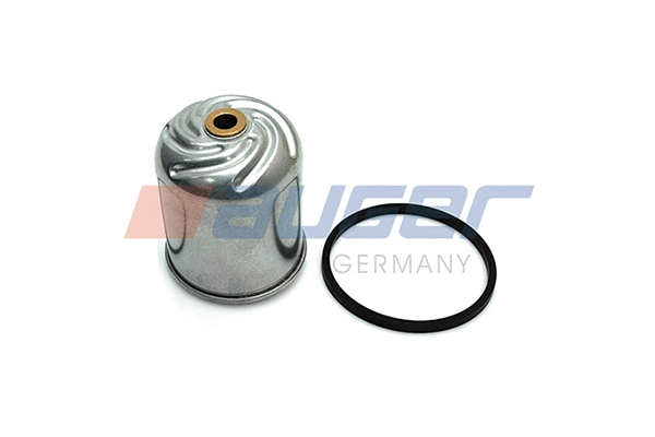 Oil Filter (76822)