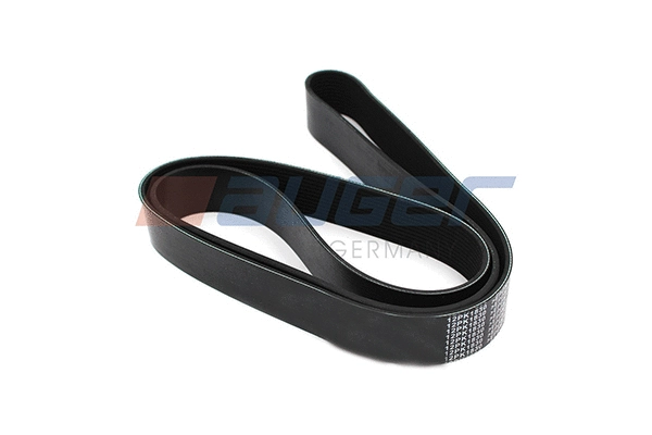 V-Ribbed Belt (80134)
