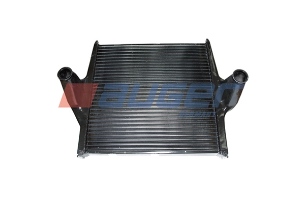 Charge Air Cooler (73255)