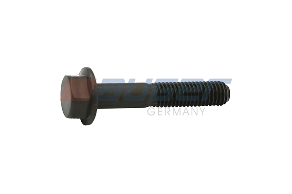 Cylinder Head Bolt (107106)