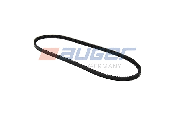 V-Belt (79833)