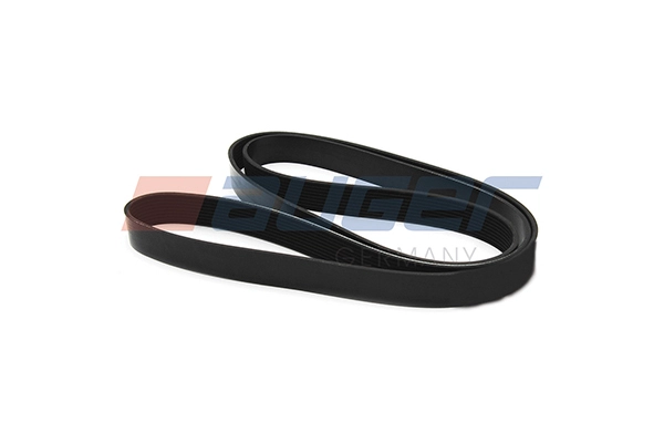 V-Ribbed Belt (90873)