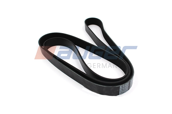 V-Ribbed Belt (79946)