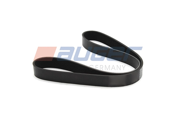 V-Ribbed Belt (80064)